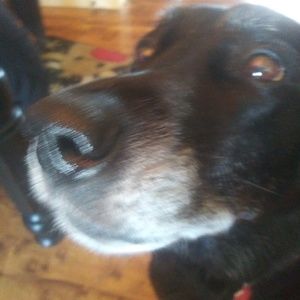 Meet your Posher, Kevin